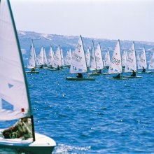 ilica_sorf2_54_8888031.jpg